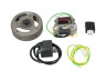 Puch Elektronik Zündung Komplett mit Polrad Elektronisch NTS Zündung Modell Bosch Linksumdrehend 12 Volt 43W Elektronisch CDI mit Polrad und Spannungsregler NTS