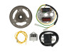 Ignition model Bosch left turning 12V 43W electronic CDI with flywheel and voltage regulator NTS