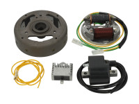 Ignition model Bosch left turning 12V 43W electronic CDI with flywheel and voltage regulator NTS Ignition model Bosch left turning 12V 43W electronic CDI with flywheel and voltage regulator NTS