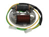 Ignition model Bosch left turning 12V 43W electronic CDI with flywheel and voltage regulator NTS