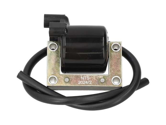 Zündung Modell Bosch Rechtsumdrehend 6V 15W mit Polrad Puch Magnum X / E50 / verschiedene Modelle NTS