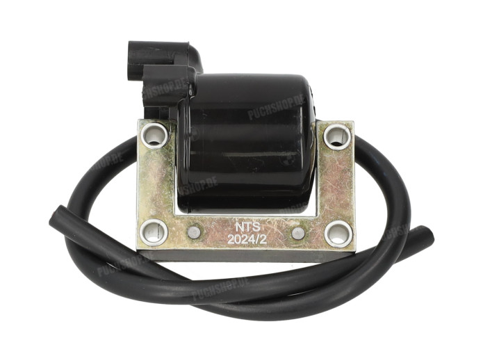 Ontsteking model Bosch rechtsdraaiend 6V 15W met vliegwiel Puch Magnum X / E50 / verschillende modellen NTS