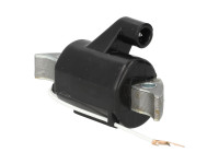 Ontsteking model Bosch mini spoel Hercules / Sachs (504/1)