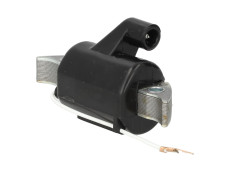 Ontsteking model Bosch mini spoel Hercules / Sachs (504/1)