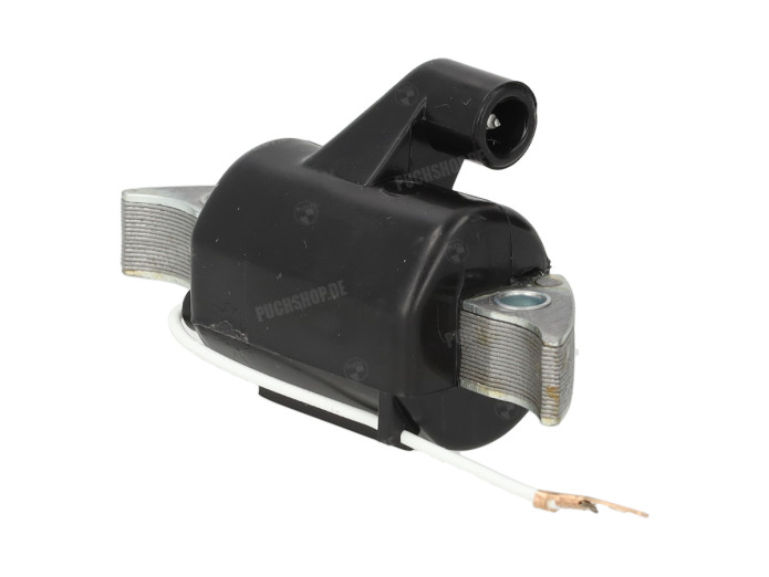 Ontsteking model Bosch mini spoel Hercules / Sachs (504/1)