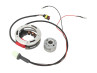 Ontsteking binnenrotor Selettra KZ10 SML 12V Puch / universeel 