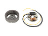 Ontsteking Sachs 502 / 504 6V 17W compleet met vliegwiel NTS Ontsteking Sachs 502 / 504 6V 17W compleet met vliegwiel NTS