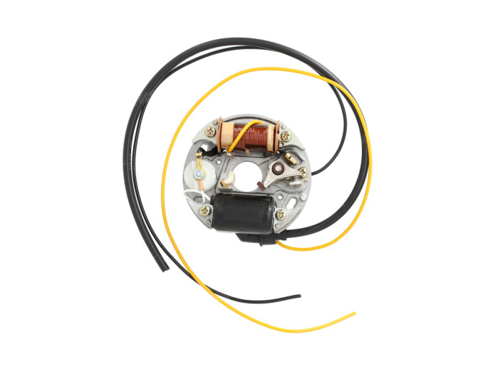 Ontsteking compleet met vliegwiel 6V 17W Sachs 502 / 504 NTS