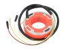 Ontsteking binnenrotor MVT Premium Digital Direct met licht 12V 60W stator