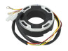 Ontsteking binnenrotor MVT Premium Analoog met licht 12V 55W stator