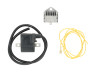 Ontsteking model Bosch Sachs 50S rechtsdraaiend 6V 33W elektronisch CDI met vliegwiel en spanningsregelaar NTS