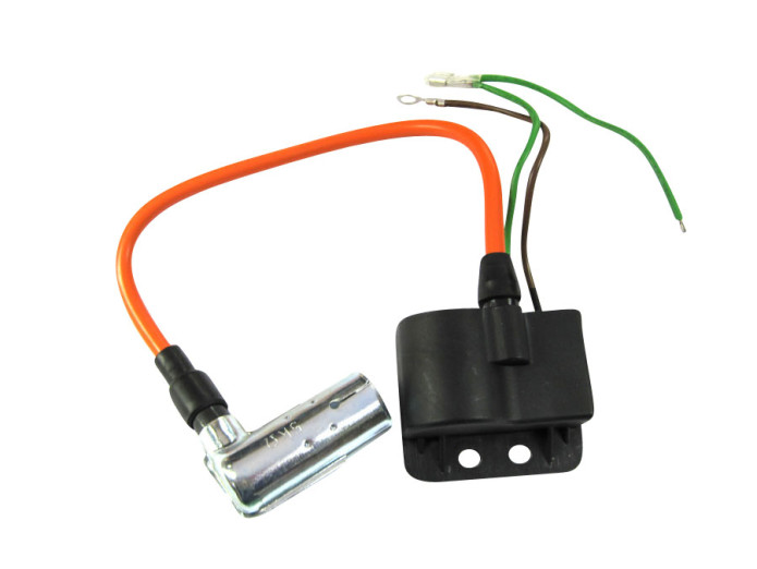 Zündung Modell Bosch Electronisch CDI Unit