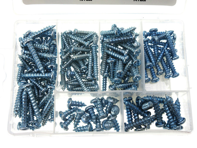 Screw assortment 175-pieces product