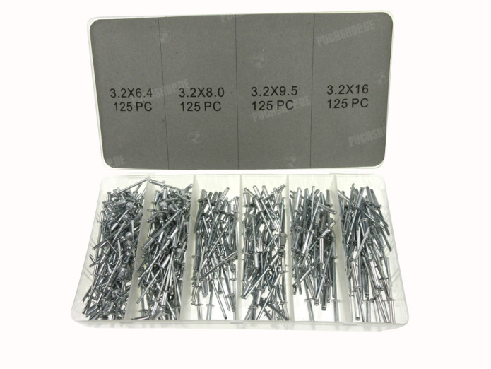 Blind rivits assortment set 500-pieces