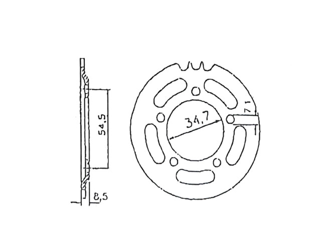 Achtertandwiel Puch MV / VS / MS 31 tands Esjot A-kwaliteit  product