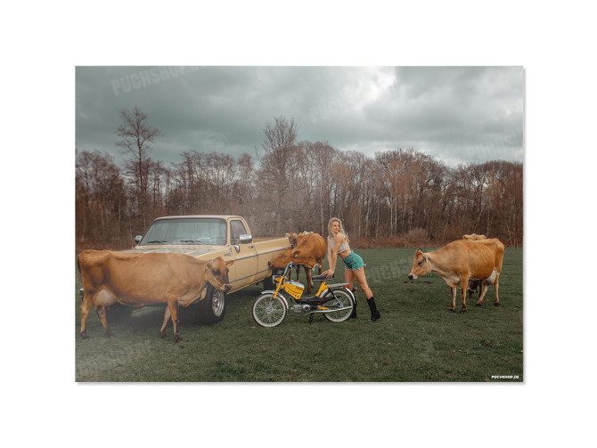 Puch Pinto met Chevrolet C20 poster A1 main