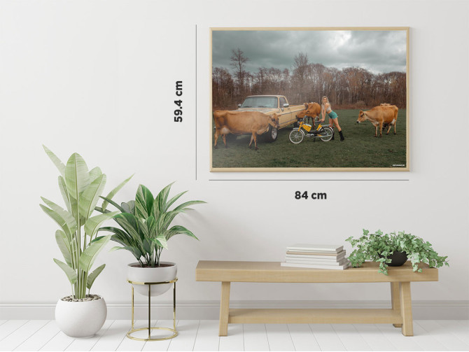 Puch Pinto met Chevrolet C20 poster A1 product