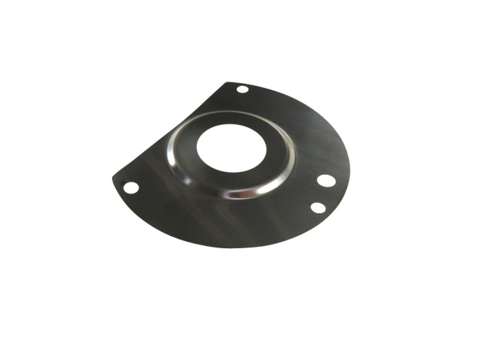 Seal retaining plate ignition side Puch Maxi E50 SS MBR