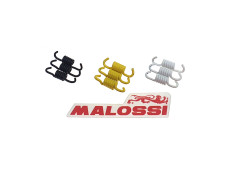 Kupplungsfeder Satz Malossi für Roller (Honda / Peugeot / Piaggo und mehr)