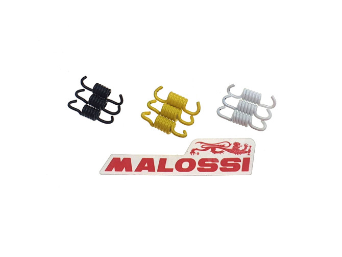 Koppelingsveren set Malossi voor scooters (Honda / Peugeot / Piaggio etc.) main