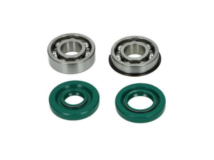 Bearing set Puch Maxi E50 old crankshaft 6203 NR C3 NTN seal
