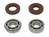 YouTube Lagerset Puch Maxi E50 oud model krukas 6203 NR C3 NTN + keerrring set Polini