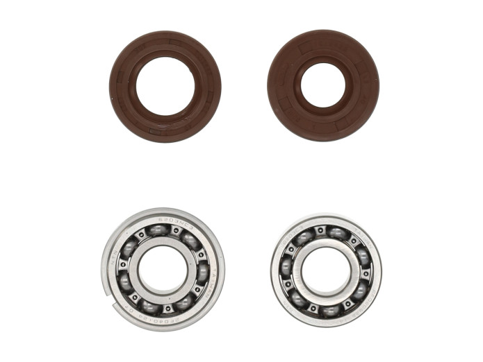 Lagerset Puch Maxi E50 oud model krukas 6203 NR C3 NTN + keerrring set Polini