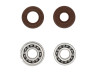 Lagerset Puch Maxi E50 oud model krukas 6203 NR C3 NTN + keerrring set Polini