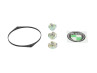 Vliegwieldeksel trekstarter Puch Maxi E50 Bosch / HPI / MVT / diverse modellen ontsteking Fast Arrow zwart 
