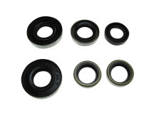 Simmerring Satz Puch MV / VS - 2 / 3 Fußschaltung Taiwan