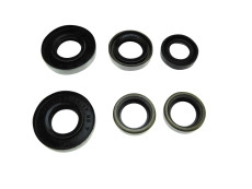 Seal Puch MV / VS - 2 / 3 pedal gear Taiwan set 