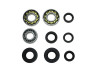 Bearing and seal set Puch MV / VS / DS / VZ / 2 speed pedal shift  thumb extra