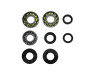 Bearing and oil seal set Puch 2 gear hand shift  2