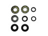 Bearing and oil seal set Puch 2 gear hand shift  thumb extra