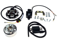 Ignition HPI 210 (2-Ten) with light 12V 40 watt Sachs 504/1 / 504/2 / 505/2 / 506/3B engine