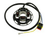 Ignition HPI 210 (2-Ten) with light 12V 40 watt Sachs 504/1 / 504/2 / 505/2 / 506/3B engine thumb extra