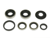Seal set Sachs 50/A, 50/2 NTS 2 speed engine