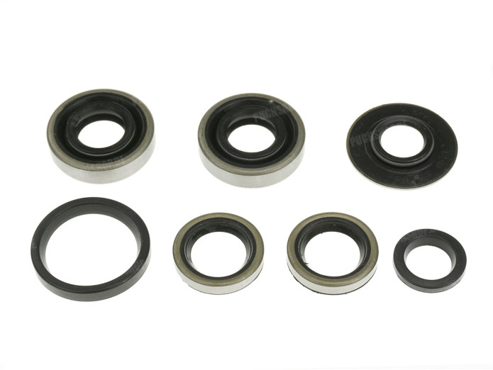 Seal set Sachs 50/A, 50/2 NTS 2 speed engine