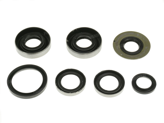 Seal set Sachs 50/A, 50/2 NTS 2 speed engine