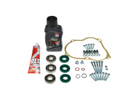 Rebuild overhaul kit new model 3-bearing kickstart Puch Maxi / E50