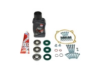 Bearing rebuild Puch Maxi / E50 old model 3-bearing pedal-start overhaul kit 
