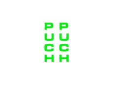 Sticker Puch front fork universal Kawasaki green