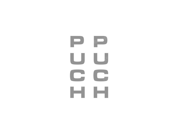 Sticker Puch voorvork / universeel zilver