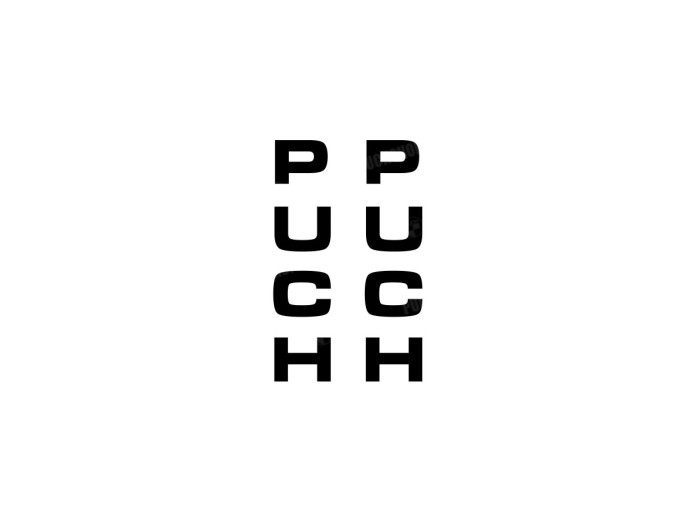 Sticker Puch voorvork / universeel zwart