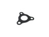 Exhaust gasket Tecnigas Next R silencer with 3 holes thumb extra