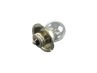 Puch Beleuchtung Lampe 12 Volt 15 Watt Vorderlicht mit Kragen Birne P26s 12 Volt 15 Watt Vorderlicht mit Kragen