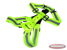 Safety vest with LED front and rear