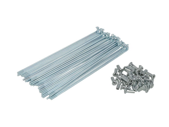 Spaken Puch Maxi 185mm 17 inch zilver kleurige nippels 36