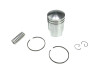 Puch Pistons DMP 38mm piston old model 2mm piston rings Piston 38mm 50cc Puch Maxi / E50 old model (38x2mm C) DMP