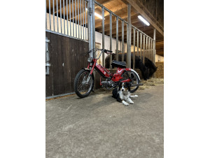 Red Puch Maxi S